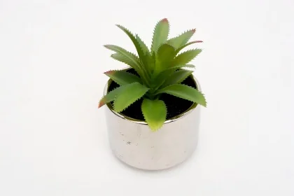 145000A 12 X 8 CM 0.212 KG GRIS VERT CERAMIQUE